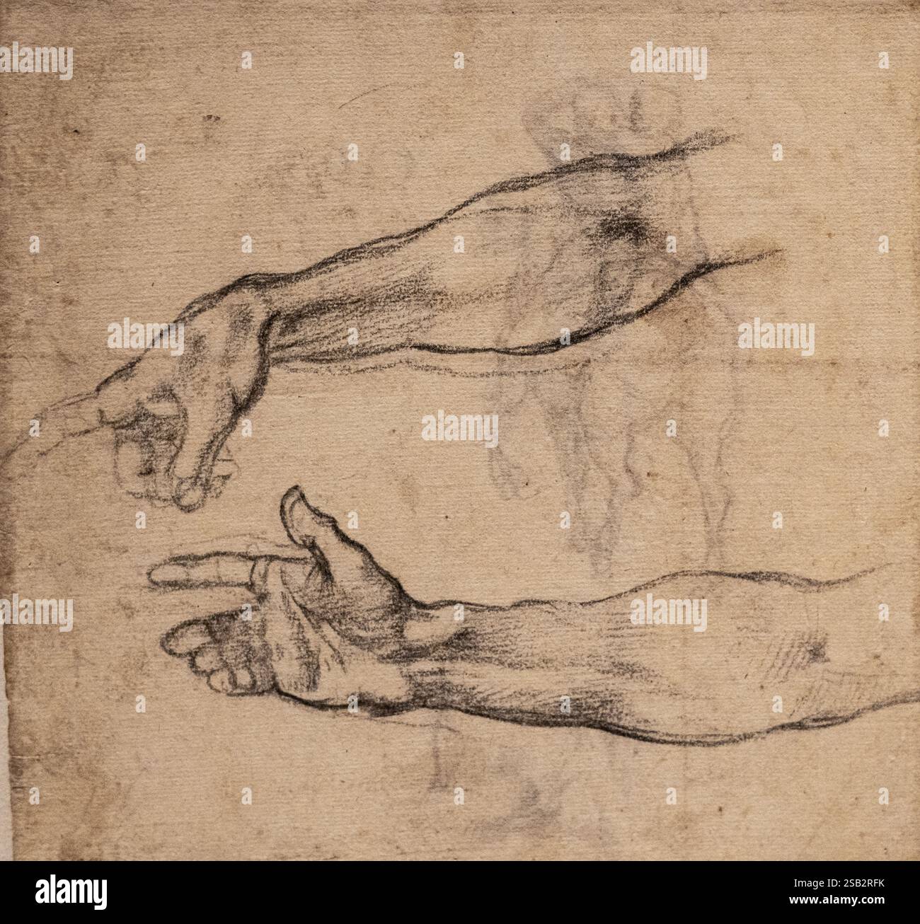 Michelangelo Zeichnung; Michelangelo 'Studies of an Outstretched Arm' 1506-8.; Schwarze Kreide auf Papier, italienische Renaissance-Kunst aus dem 16. Jahrhundert, Anatomie des Arms Stockfoto