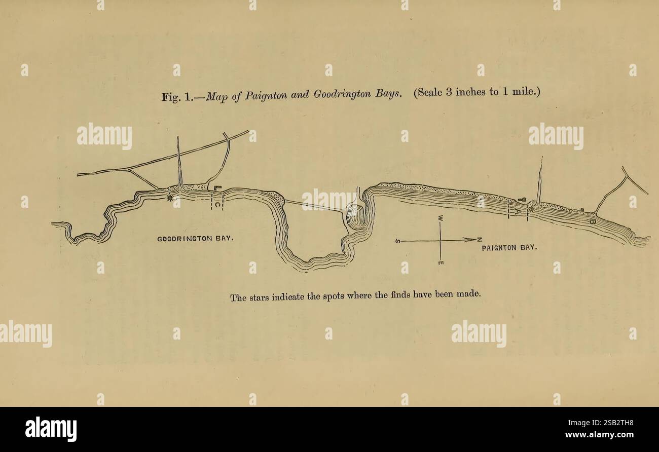 The Quarterly Journal of the Geological Society of London, v. 41 (1885), London, Geologie, Periodika, eine detaillierte Abbildung zeigt eine Karte des untergetauchten Waldes von Torbay, die verschiedene Merkmale und Wege hervorhebt. Zu den wichtigsten Elementen gehören ein gewundenes Gewässer mit der Bezeichnung „RIVER“ und verschiedene Linien, die die Routen der „Plymouth and Dartmouth Railway“ kennzeichnen. Die Karte weist auch auf wichtige Orte wie die „CONGREAVES BAY“ hin und zeigt eine Kompassrose, die die Himmelsrichtungen anzeigt. Im Hintergrund verbessert eine einfache Umrisse des Geländes den geografischen Kontext. Dies stellt dar Stockfoto