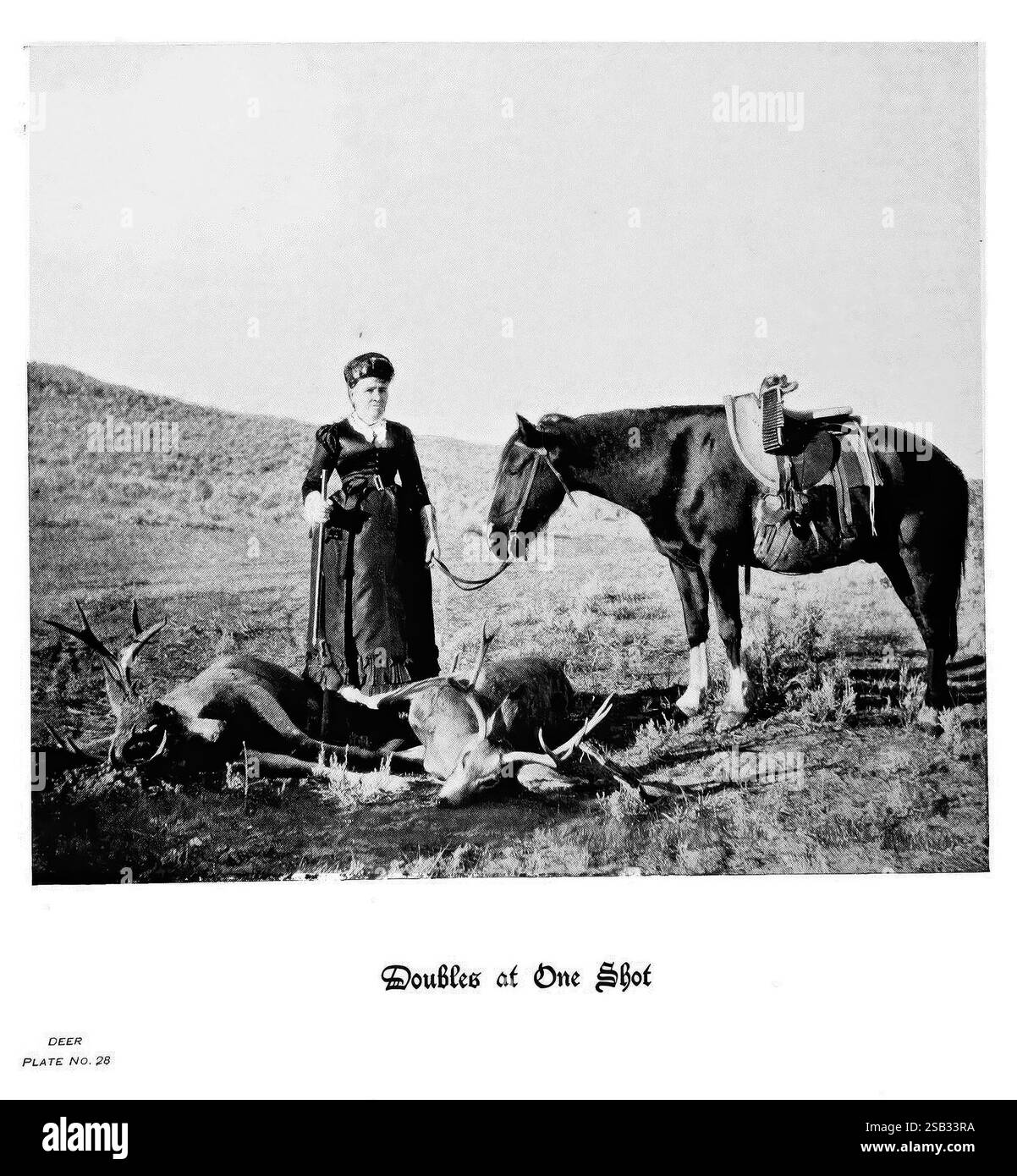 Hufe, Klauen, Geweihe, Rocky Mountains, Kamera, Denver, Co, F.S. Thayer, 1894, Animals, Eine Frau steht selbstbewusst neben einem Pferd, hält die Zügel, während sie im Vordergrund posiert. In der Kulisse befinden sich zwei große Hirsche, die eine erfolgreiche Jagd zeigen. Die Frau trägt alte Kleidung, was auf ein Gefühl von Stolz und Leistung hindeutet. Der Hintergrund besteht aus einer weiten, offenen Landschaft, die den Fokus auf die dargestellten Leistungen verstärkt. Die Unterschrift unten lautet „Doppelbilder bei einem Schuss“, was die Bedeutung des Moments unterstreicht, der in dieser Szene festgehalten wird. Stockfoto