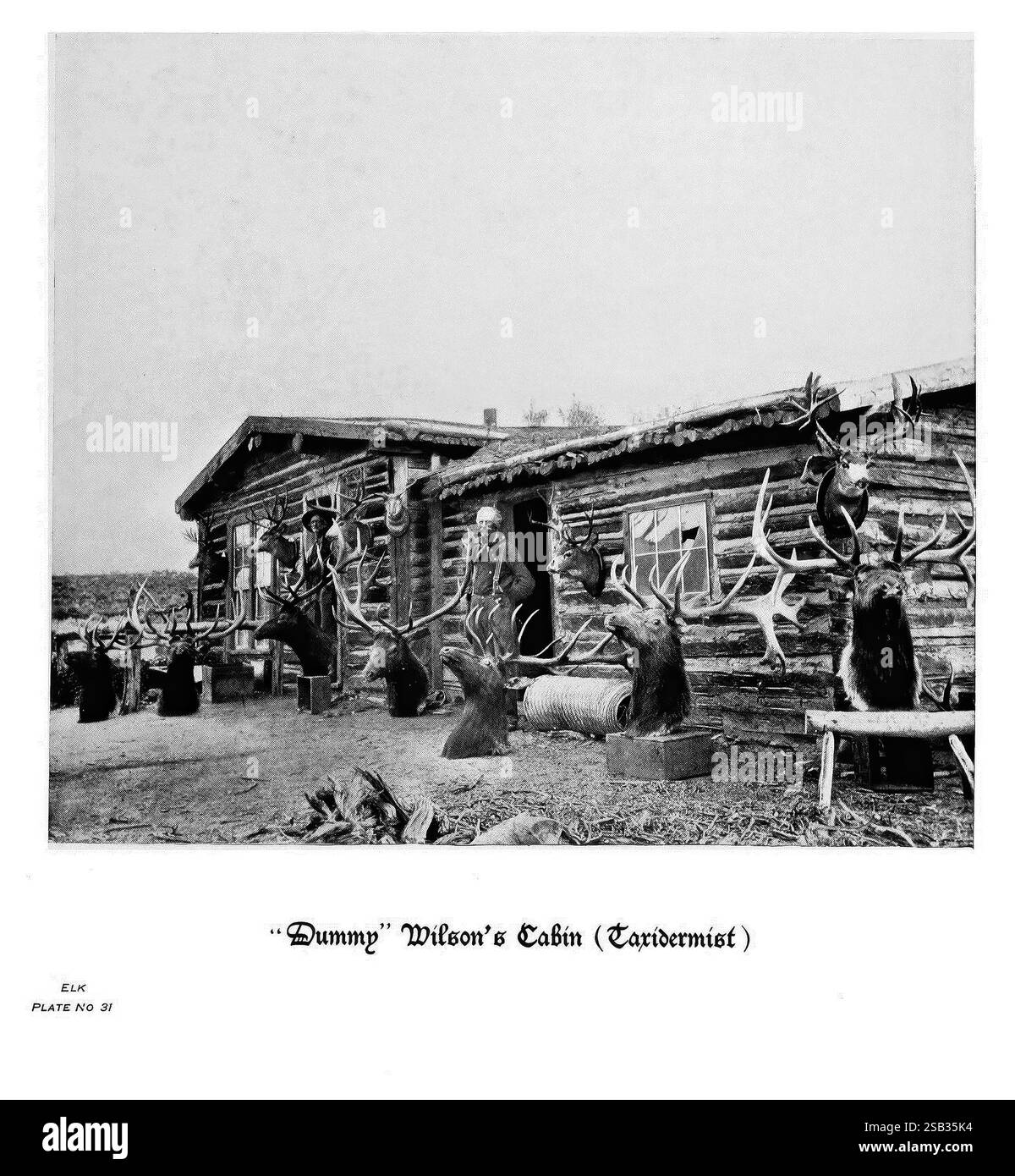 Hufe, Klauen und Geweihe der Rocky Mountains, vor der Kamera. Denver, Co. F.S. Thayer, 1894. Tiere, Bildwerke, im Vordergrund steht Eine rustikale Blockhütte mit schlichtem Aufbau, umgeben von verschiedenen präparierten Tieren. Mehrere berittene Hirschköpfe und andere Wildtiere zieren die Vorderseite der Hütte und zeigen die Fähigkeiten eines Präparators. Draußen werden einige Personen in der Nähe des Eingangs gesehen, was zur lebhaften Atmosphäre dieser Outdoor-Szene beiträgt. Die Umgebung deutet auf eine historische Periode hin, die durch eine starke Verbindung zur Natur und Jagdtradition gekennzeichnet ist Stockfoto