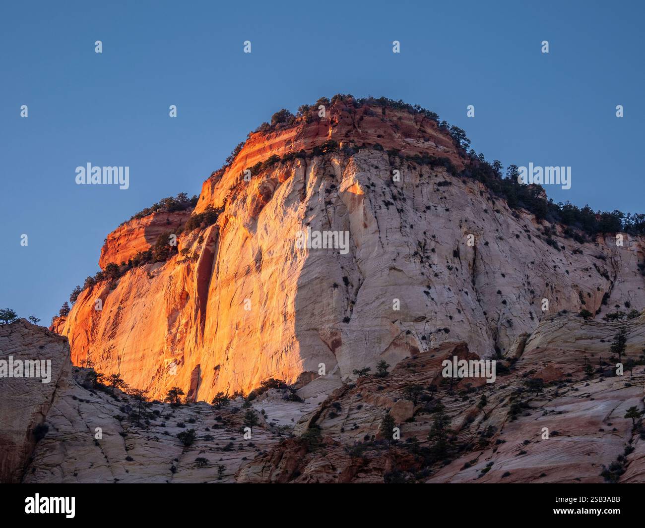 Spätsonne auf den Klippen vom Mt. Carmel Highway, Zion National Park, Utah. Stockfoto