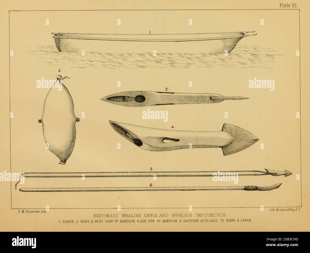 Die Meeressäuger der Nordwestküste Nordamerikas, New York, J.H. Carmany, 1874, Delfine, Wale, Walfang, Segel, Meeressäuger, cetacea, die Abbildung zeigt eine Sammlung traditioneller Jagd- und Angelgeräte. An der Spitze gibt es verschiedene Arten von Bootsrümpfen, die auf Wasserfahrzeuge hinweisen, die für Transport oder Angeln verwendet werden. Unten sind mehrere speerähnliche Geräte ausgestellt, darunter eine Harpune, die für den Fang großer Meerestiere bestimmt ist. Die Objekte unterscheiden sich in Design und Größe, was die Handwerkskunst und die spezifischen Verwendungszwecke von e unterstreicht Stockfoto