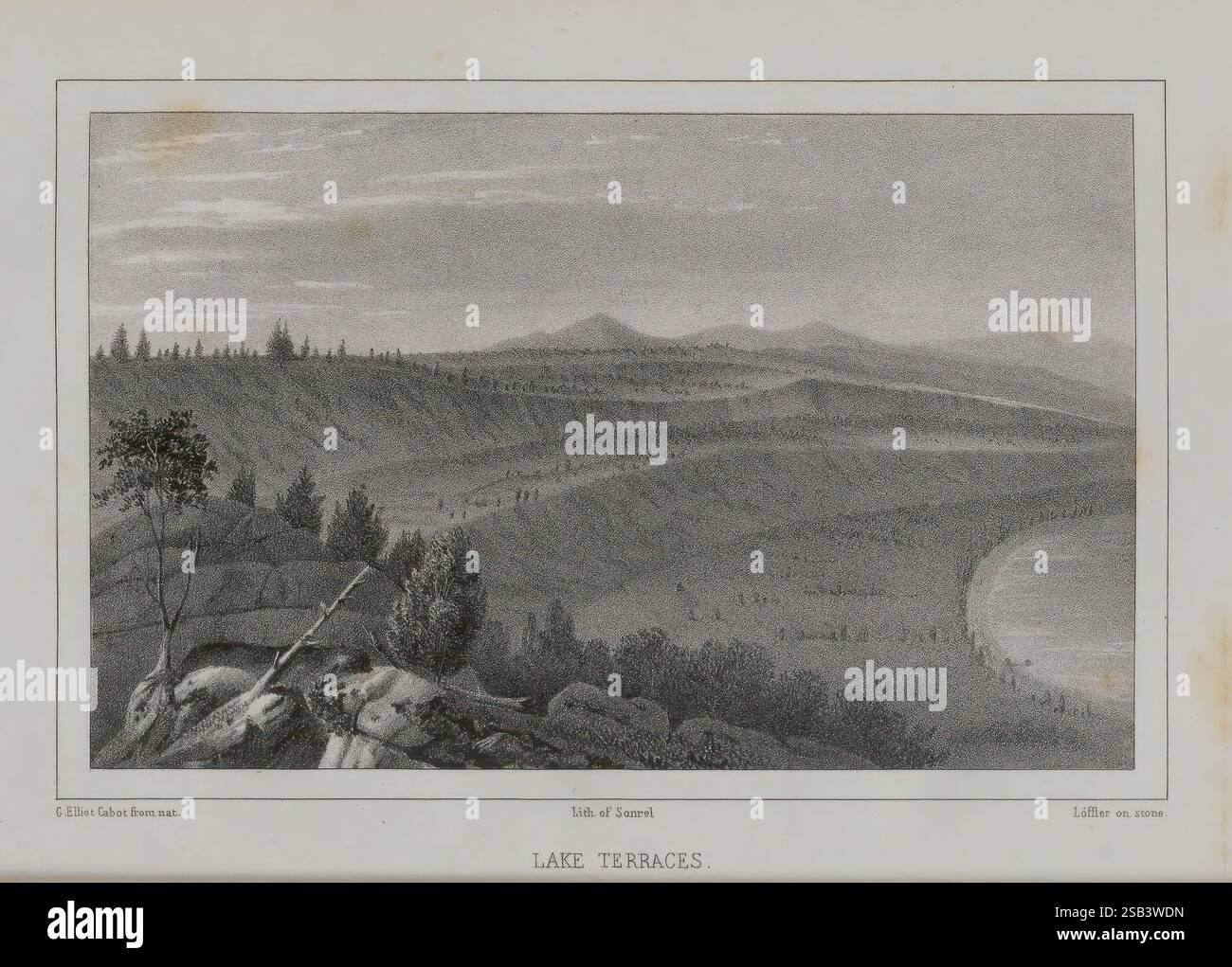 Lake Superior: Sein Charakter, seine Vegetation und seine Tiere im Vergleich zu denen anderer ähnlicher Regionen. Boston, Gould, Kendall & Lincoln, 1850., dieses Kunstwerk zeigt eine malerische Landschaft, die ein ruhiges Gewässer, wahrscheinlich einen See, darstellt, umgeben von sanften Hügeln und Bäumen. Im Vordergrund spiegelt die ruhige Oberfläche des Wassers die umliegende natürliche Schönheit wider und spiegelt die Hügel und Vegetation wider. Der Hintergrund ist von einem sanften Anstieg der Höhe bevölkert, was auf eine ruhige Landschaft hindeutet. Die Komposition unterstreicht die Harmonie zwischen Wasser und Land und ruft ein Gefühl von Frieden und natürlicher Ruhe hervor Stockfoto