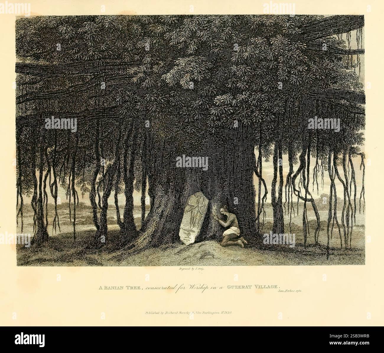 Oriental Memoiren, London, gedruckt für den Autor von T. Bensley, 1813. 19. Jahrhundert, Beschreibung und Reise, Indien, Naturgeschichte, Bildwerke, Landschaften, Banyan-Baum, Eine ruhige Waldszene zeigt einen dichten Baumhain, deren Stämme und Äste aufwändig verziert sind, um Tiefe und Textur zu vermitteln. Im Vordergrund lehnt sich eine Einzelfigur an einen großen, verwitterten Stein, was auf einen Moment der Reflexion oder Einsamkeit in der Natur hindeutet. Die umliegenden Bäume erheben sich hoch und imposant, ihr Laub bildet ein Baldachin, das das Licht filtert und sanfte Schatten auf den Waldboden wirft. Der Landsc Stockfoto