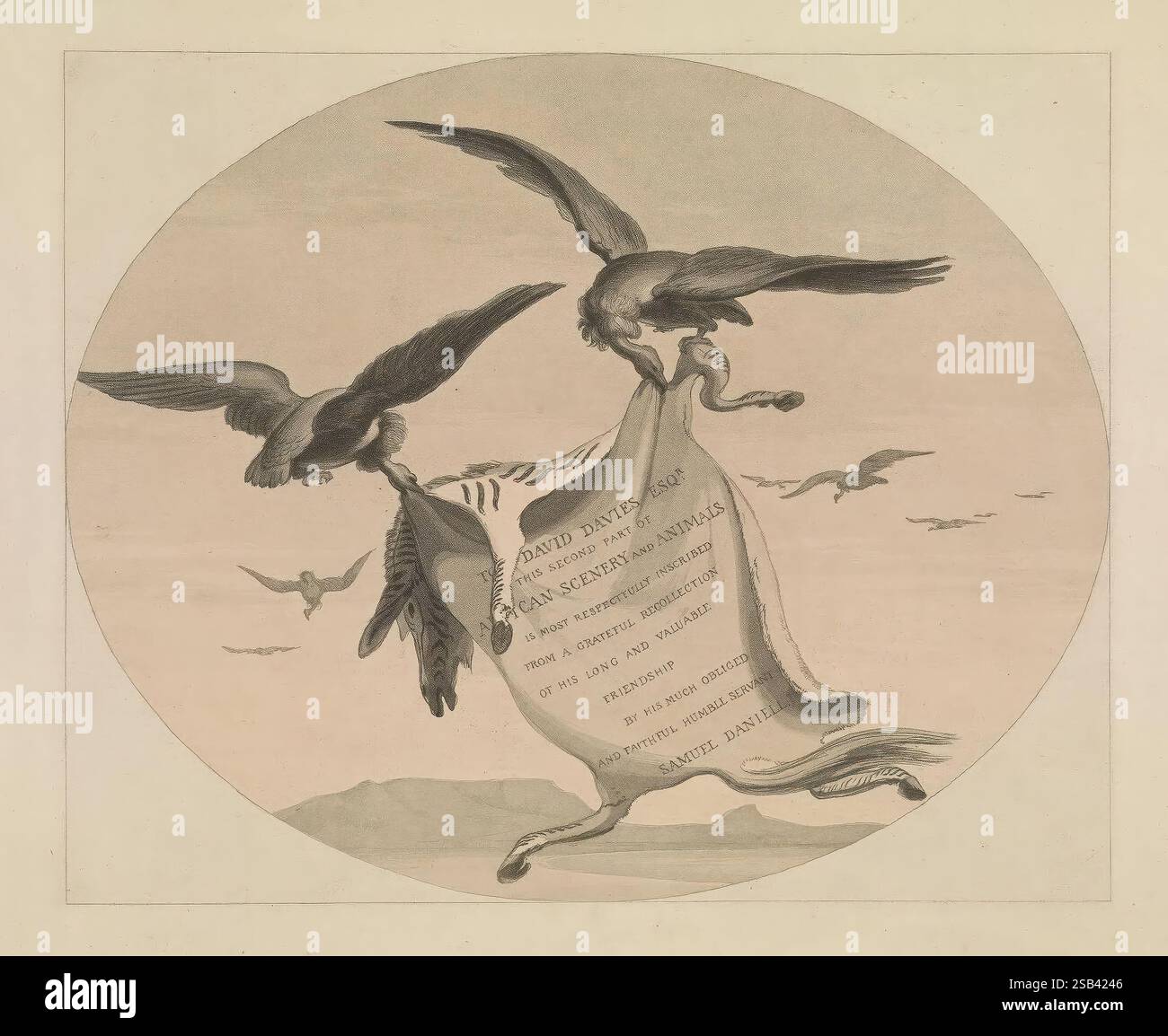Afrika, Landschaft und Tiere, London, 1804-05, Afrika, Süd, Natur, Geschichte, Bildmaterial, Werke, Zoologie, zwei hochfliegende Vögel, dargestellt in der Mitte des Fluges, fassen Sie ein fließendes Banner mit ihren Krallen. Das Banner, das sich anmutig entfaltet, enthält Text, der wichtige Grundsätze oder Erklärungen beschreibt, die möglicherweise mit Freiheit oder Einheit in Verbindung stehen. Im Hintergrund gibt eine ruhige Landschaft mit hügeligen Hügeln und einem sanften Himmel einen ruhigen Ton. Mehrere zusätzliche Vögel können in der Ferne fliegen sehen, was das Gefühl von Bewegung und Freiheit verbessert. Die Szene vermittelt eine starke Botschaft, Betonung Stockfoto