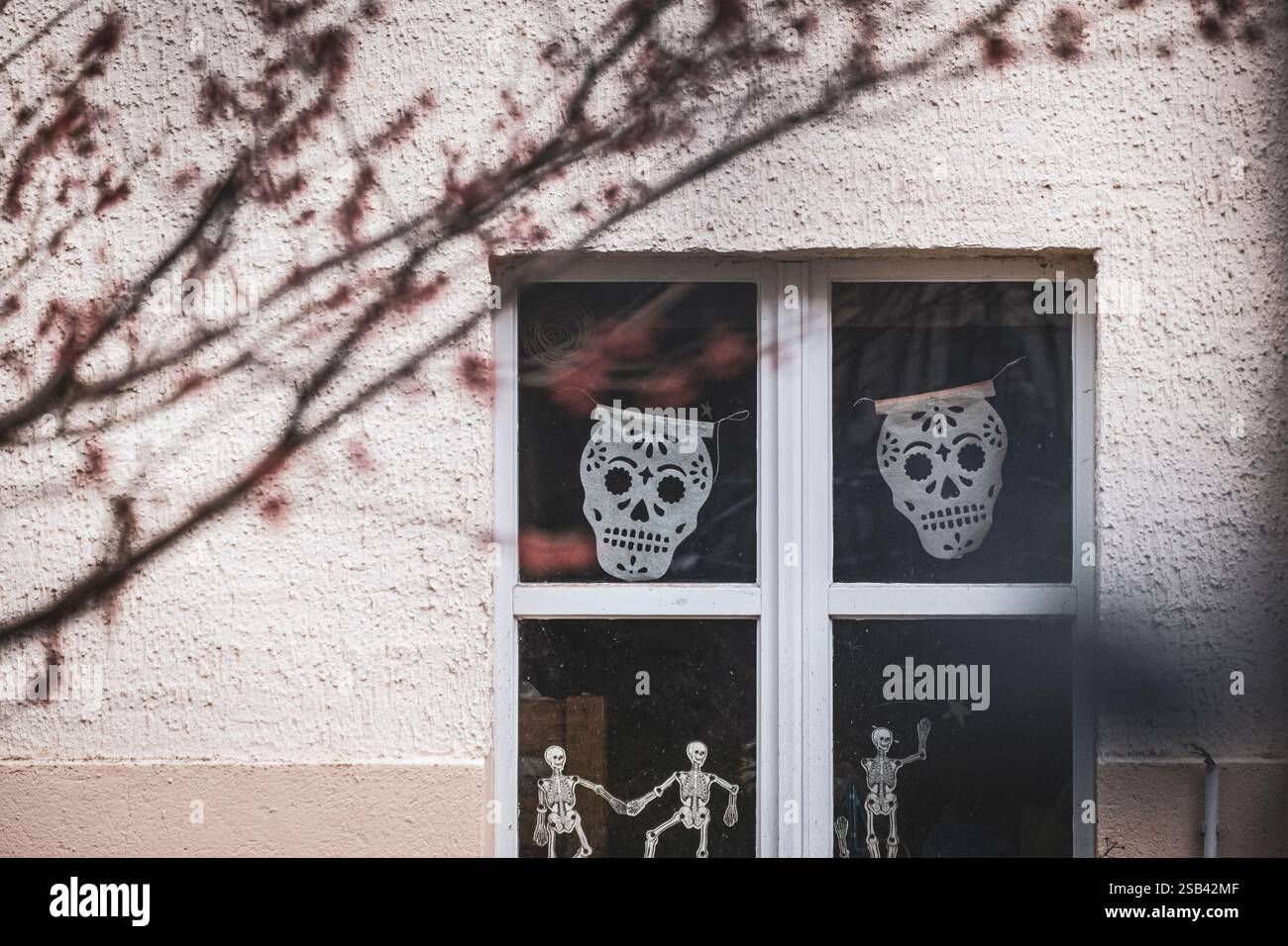 Papierausschnitte, mexikanische Volkskunst-Schädel im Winter im Fenster Stockfoto