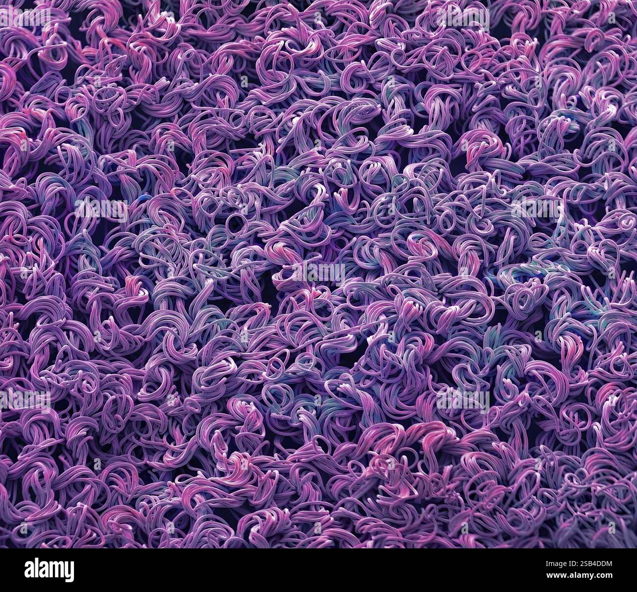 Nylonstrumpfhose aus Fasern. Farbige Rasterelektronenmikrographie (REM) des Gewebes von Nylonstrumpfhosen. Nylon ist eine Polyamidsubstanz und war die erste synthetische Faser, die jemals hergestellt wurde. Nylonfasern sind stärker und elastischer als Seide und relativ unempfindlich gegen Feuchtigkeit und Schimmel. Nylon wird häufig zur Herstellung von Textilien verwendet, wird aber auch in Formartikeln und medizinischen Nähten verwendet. Vergrößerung: 30 x bei Druck mit einer Breite von 10 Zentimetern. Stockfoto