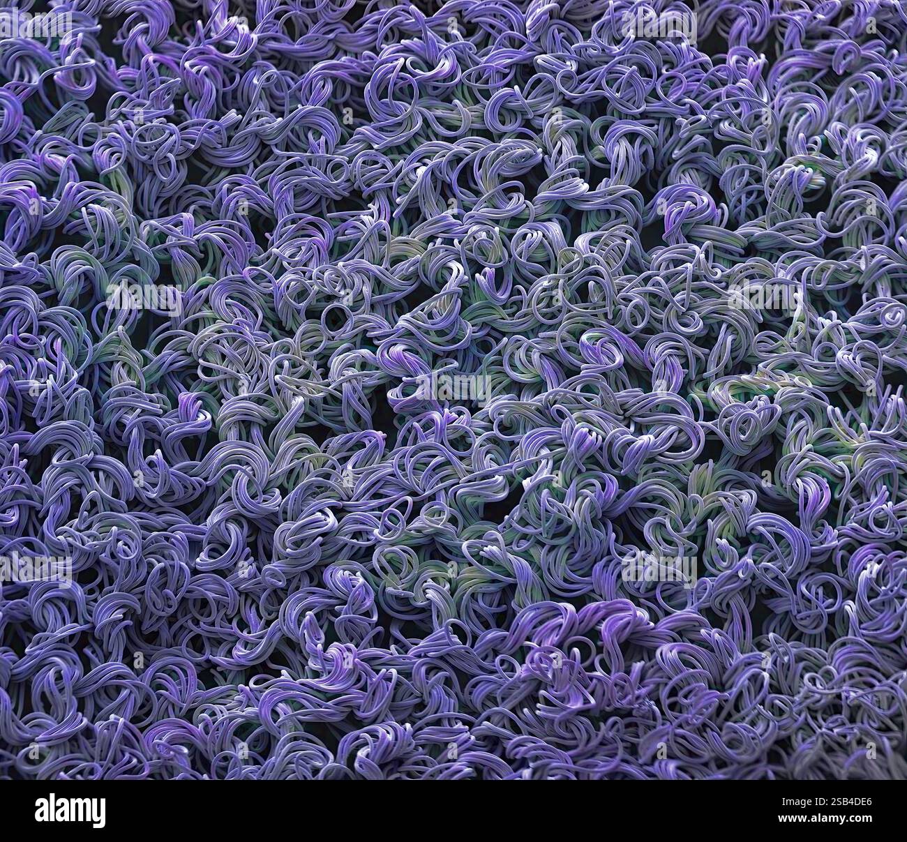 Nylonstrumpfhose aus Fasern. Farbige Rasterelektronenmikrographie (REM) des Gewebes von Nylonstrumpfhosen. Nylon ist eine Polyamidsubstanz und war die erste synthetische Faser, die jemals hergestellt wurde. Nylonfasern sind stärker und elastischer als Seide und relativ unempfindlich gegen Feuchtigkeit und Schimmel. Nylon wird häufig zur Herstellung von Textilien verwendet, wird aber auch in Formartikeln und medizinischen Nähten verwendet. Vergrößerung: 30 x bei Druck mit einer Breite von 10 Zentimetern. Stockfoto