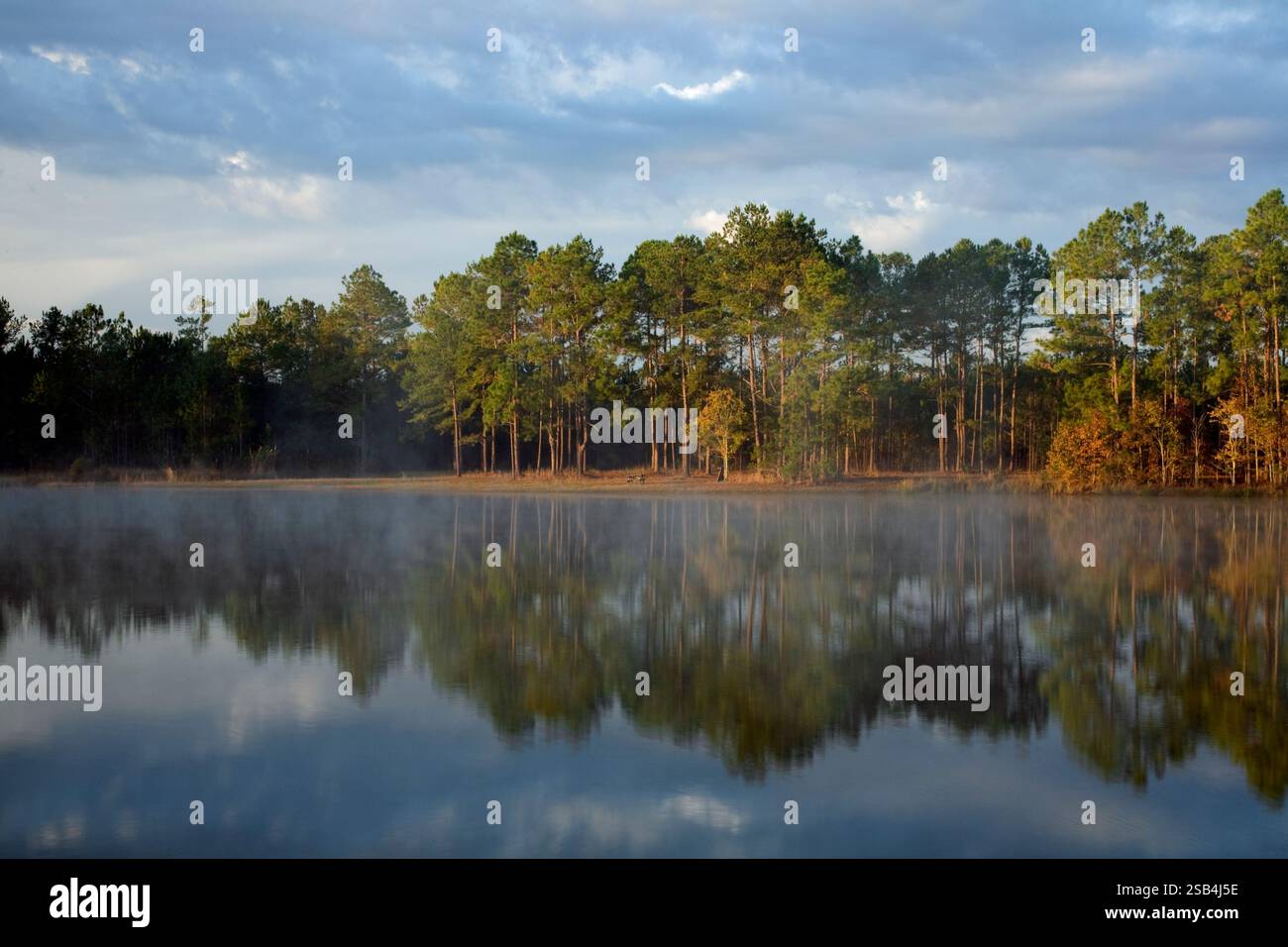 GA00123-00...GEORGIA - frühmorgendliches Licht auf einem kleinen See in der Nähe der Stadt Townsend. Stockfoto