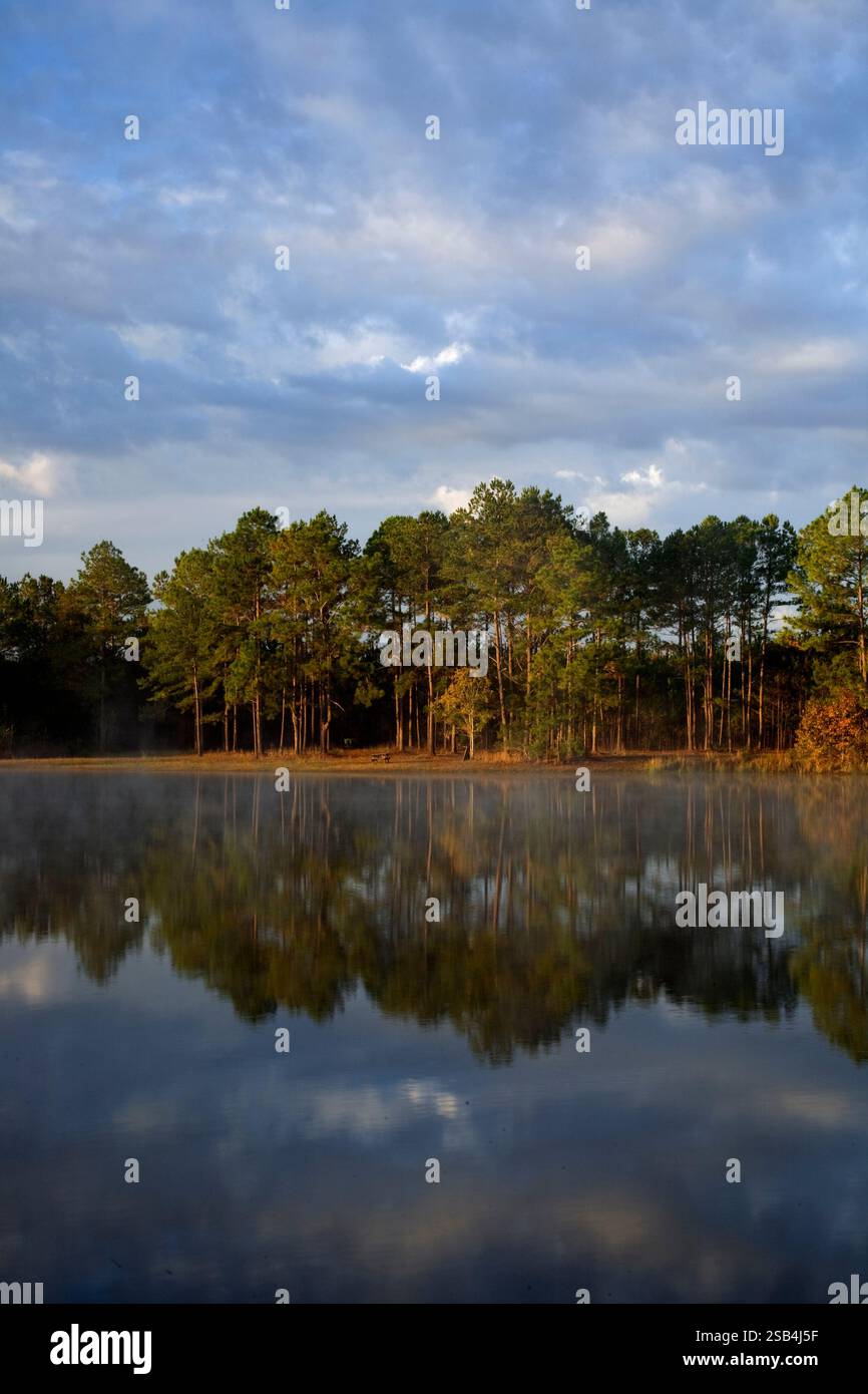 GA00124-00...GEORGIA - frühmorgendliches Licht auf einem kleinen See in der Nähe der Stadt Townsend. Stockfoto