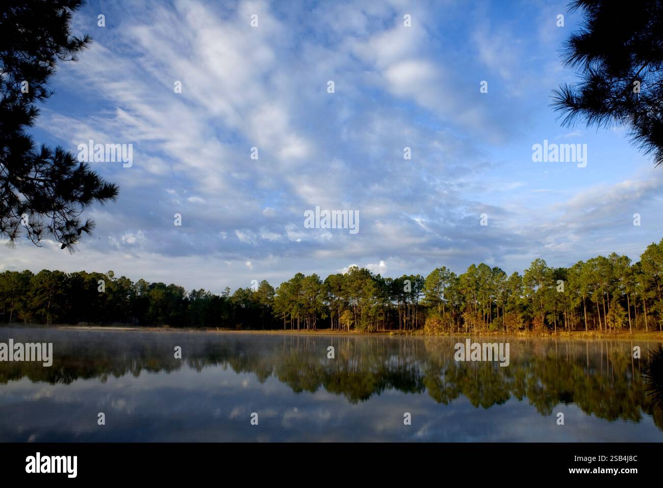 GA00126-00...GEORGIA - frühmorgendliches Licht auf einem kleinen See in der Nähe der Stadt Townsend. Stockfoto