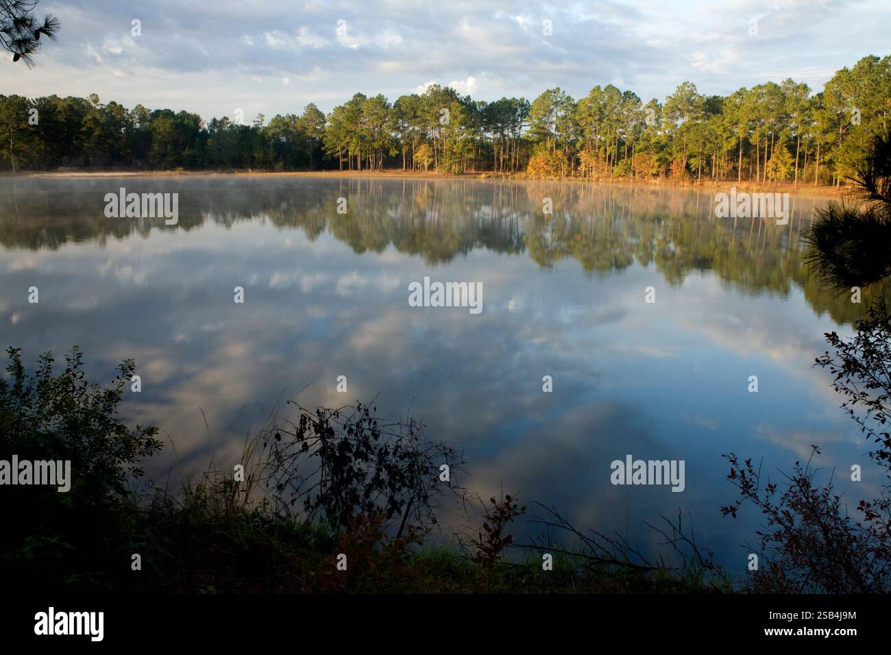 GA00127-00...GEORGIA - frühmorgendliches Licht auf einem kleinen See in der Nähe der Stadt Townsend. Stockfoto
