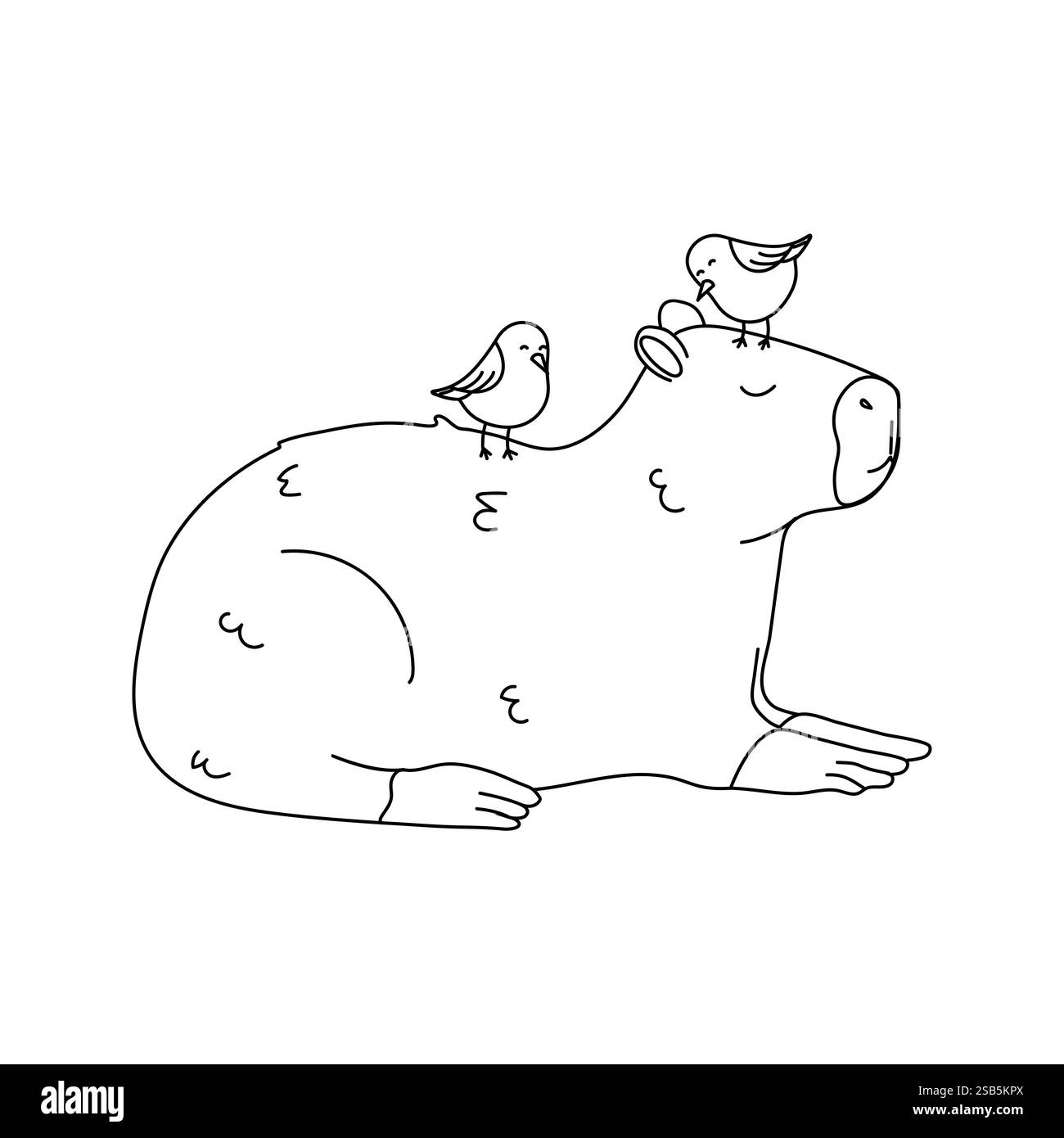 Eine einfache Linienzeichnung einer Capybara mit zwei Vögeln auf Kopf und Rücken. Die Capybara liegt mit dem Kopf auf den Pfoten. Die bir Stock Vektor
