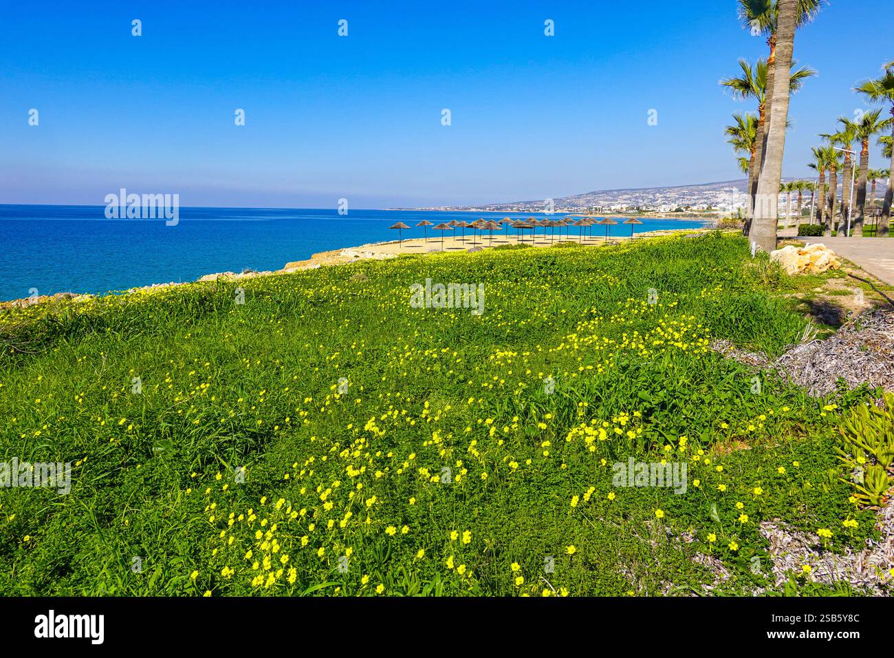 Paphos, Zypern, EU, schönes Winterwetter in diesem beliebten Touristenziel Stockfoto