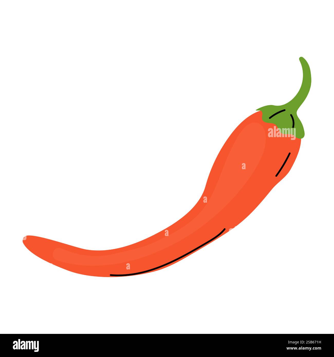 Ein langer, hellroter Chili-Pfeffer liegt vor einem schlichten weißen Hintergrund, der seine geschwungene Form und seine glänzende Textur hervorhebt und ein Gefühl von Frische hervorruft Stock Vektor