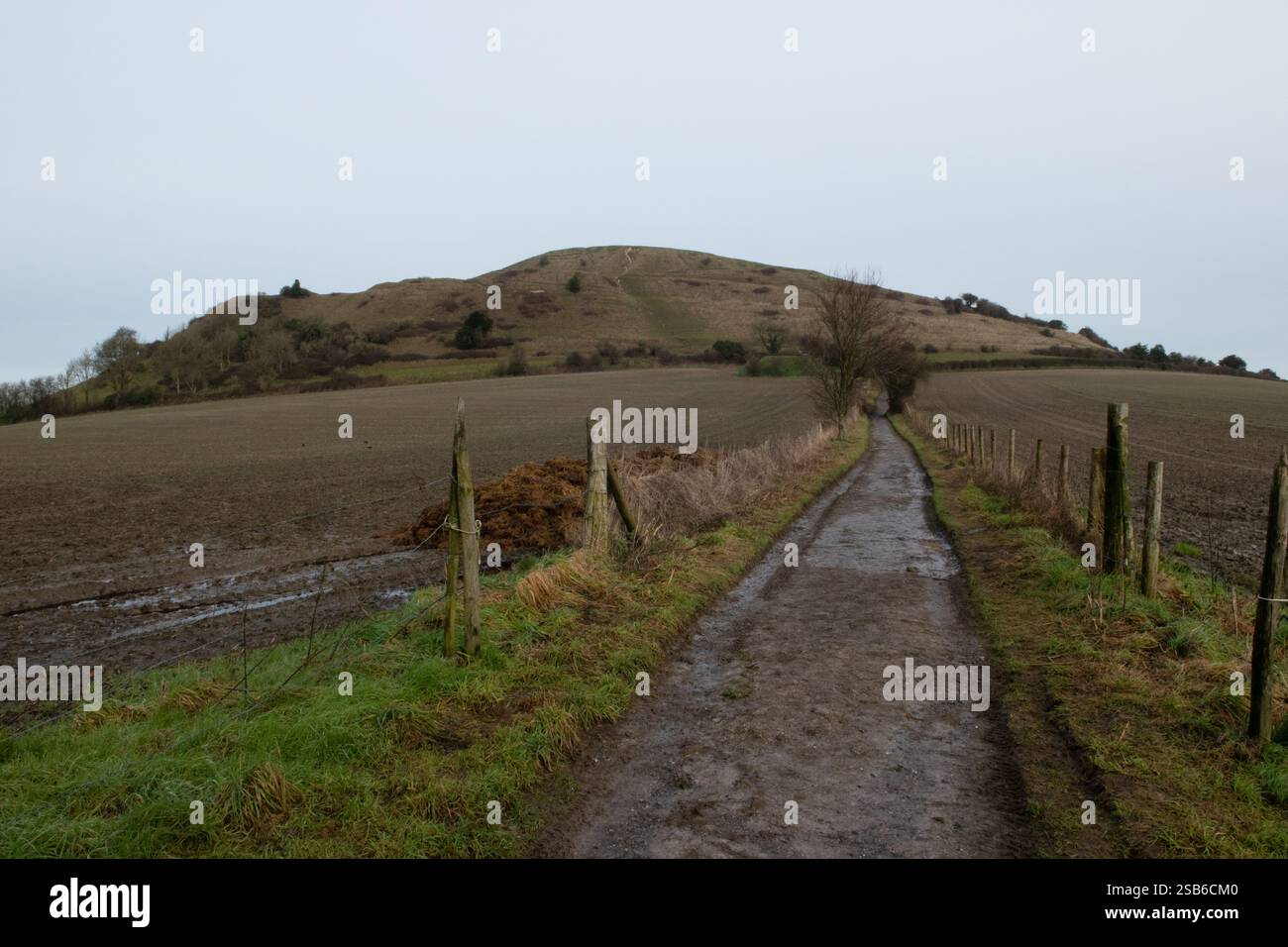 Cley Hill, Warminster, Wiltshire, eng;Land Stockfoto