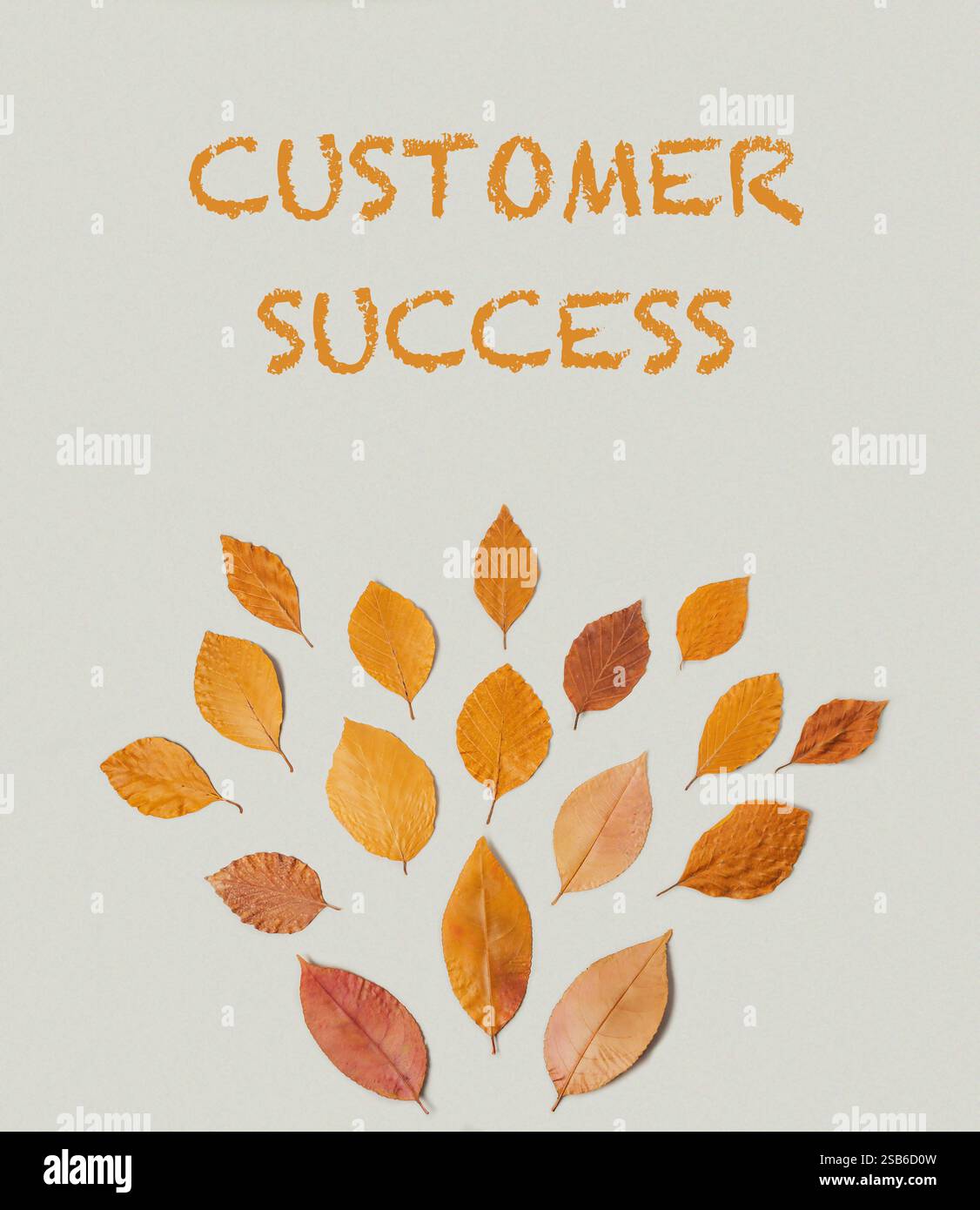 Laubbaum aus Blättern mit den Worten Customer Success in Orange. Konzept von Erfolg und Wachstum, da die Blätter das Wachstum eines Bu repräsentieren Stockfoto