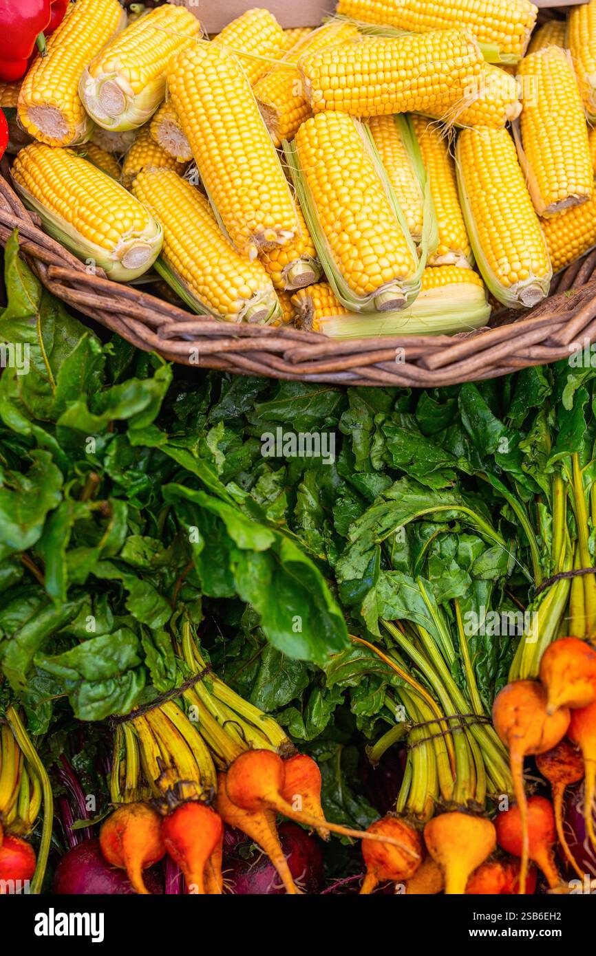Auf einem Bauernmarkt gibt es ein lebhaftes Angebot an frischem Gemüse, mit gelbem Mais auf dem Kolben in einem Korb und Blattgemüse Stockfoto