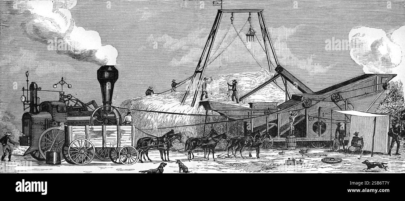 Frühes mechanisches Dreschwerk oder Dreschwerk ab Ende 19. Jahrhundert. Vintage oder historische Gravur oder Illustration 1887 Stockfoto