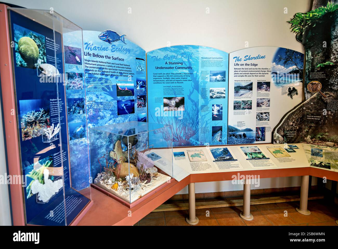 CRUZ BAY, U.S. Virgin Islands – die Ausstellung des Virgin Islands National Park Visitor Center kombiniert Ausstellungen über Ökosysteme von Korallenriffen mit Artefakten aus frühen Inselkulturen. Die interpretierende Installation informiert die Besucher sowohl über die Meereslebewesen als auch über das indigene Erbe. Bildungspanels erläutern die Zusammenhänge zwischen den frühen Einwohnern und den Meeresressourcen. Stockfoto