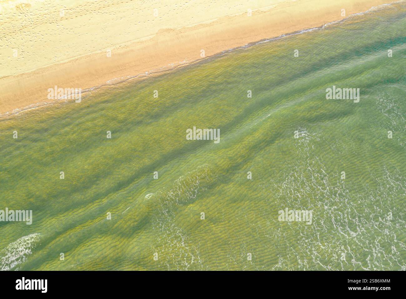 Direkt über Blick auf den Strand mit lebhaftem türkisfarbenem Wasser, Drohnenblick Konzept Ruhe Hintergrund Stockfoto