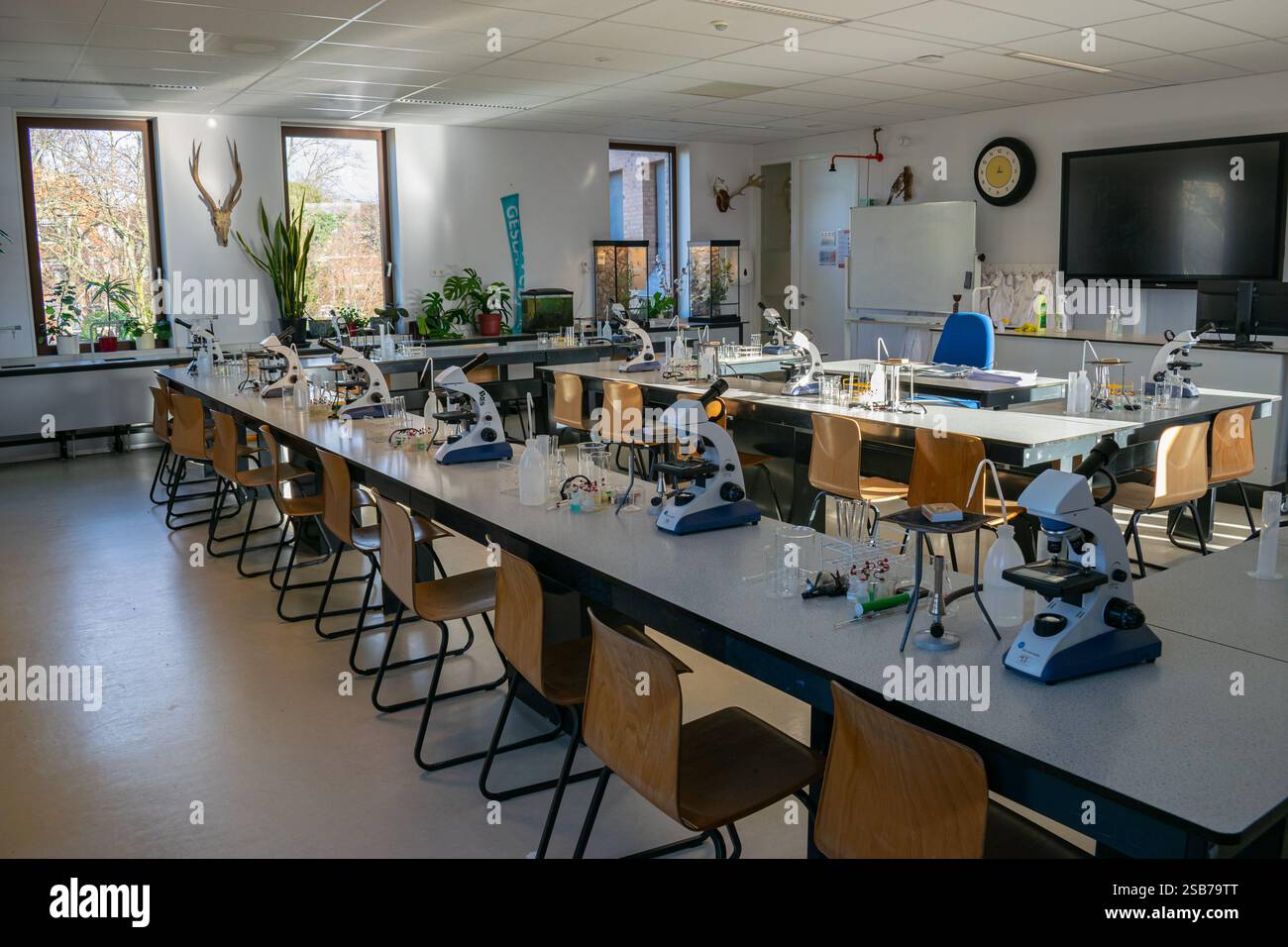 Praktikumsraum mit Vorbereitungen für Biologieexperimente an einer High School. Stockfoto