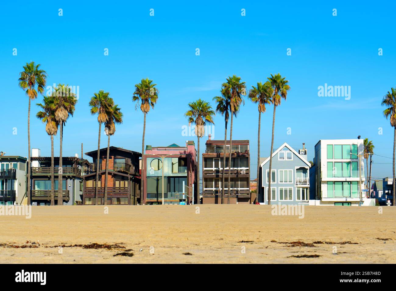 Los Angeles, Kalifornien - 18. Dezember 2024: Reihe von lebhaften Strandhäusern gesäumt von hohen Palmen am Venice Beach vor einem klaren blauen Himmel, Crea Stockfoto