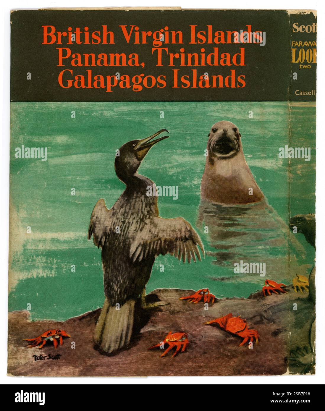 Alte gebrauchte Kopie des gebundenen Buches aus den 1960er Jahren, rückseitiger Umschlag mit Staubmantel, 'Faraway Look Two' von Peter & Philippa Scott, Faraway Look war eine BBC-Naturserie, das Folgebuch basiert auf Peter Scotts BBC-Fernsehserie Faraway Look, erzählt von Peter & Philippa Scotts Reisen und den Tieren und Vögeln, die sie auf den Britischen Jungferninseln, Trinidad, Panama und Galapagos Islands gesehen haben. Sir Peter Scott, der 1960 veröffentlicht wurde, war ein bekannter britischer Naturschützer und Künstler und half bei der Gründung des World Wide Fund for Nature (WWF) und der Gründung des Wildfowl & Wetlands Trust in Slimbridge, Großbritannien. Stockfoto