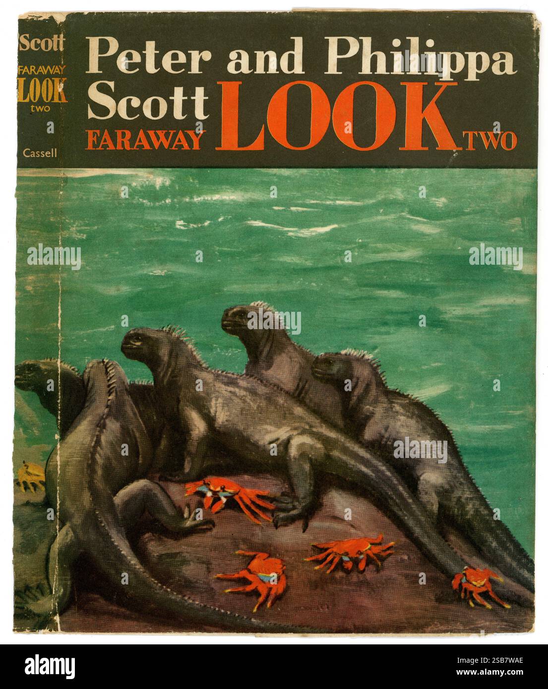 Alte gebrauchte Kopie des gebundenen Buches aus den 1960er Jahren, Vorderseite mit Staubmantel, 'Faraway Look Two', von Peter & Philippa Scott, Faraway Look war eine BBC-Naturserie, das Folgebuch basiert auf Peter Scotts BBC-Fernsehserie Faraway Look. Es erzählt von Peter & Philippa Scotts Reisen und den Tieren und Vögeln, die sie auf den Britischen Jungferninseln, Trinidad, Panama und Galapagos Islands gesehen haben. Sir Peter Scott, der 1960 veröffentlicht wurde, war ein bekannter britischer Naturschützer und Künstler und half bei der Gründung des World Wide Fund for Nature (WWF) und der Gründung des Wildfowl & Wetlands Trust in Slimbridge, Großbritannien. Stockfoto
