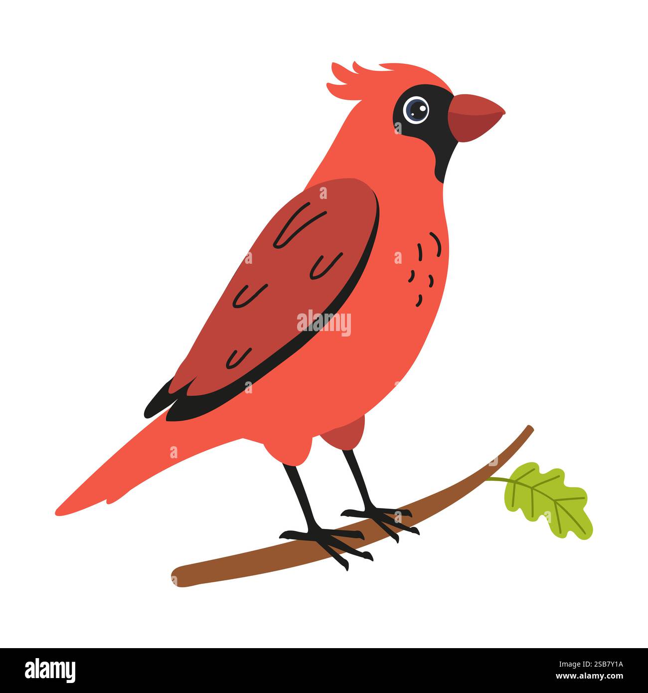 Hellroter Kardinal auf einem Ast zwischen grünen Blättern in klarer Umgebung Stock Vektor