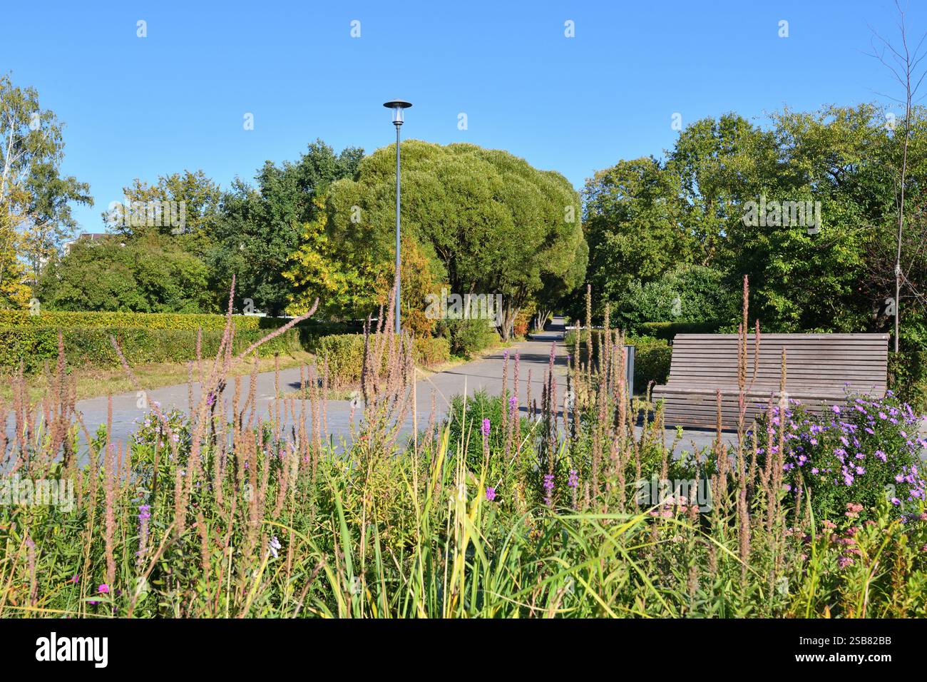 Stadtpark im frühen Herbst in Moskau in Russland Stockfoto