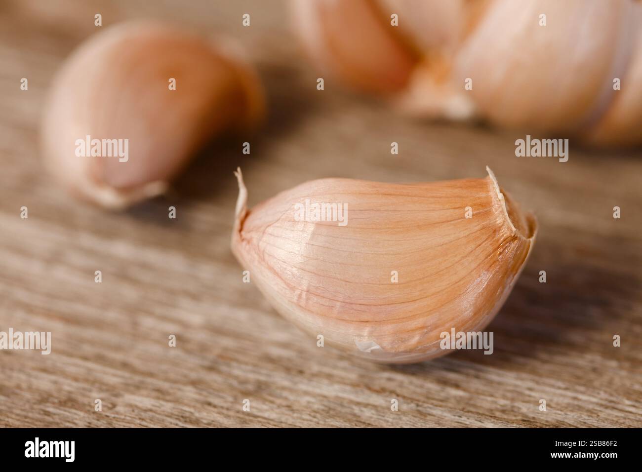 Nahaufnahme der frischen rohen Knoblauchzehen (lat. Allium sativum) auf Holzoberfläche mit Knoblauchzwiebeln auf der Rückseite (selektiver Fokus) Stockfoto
