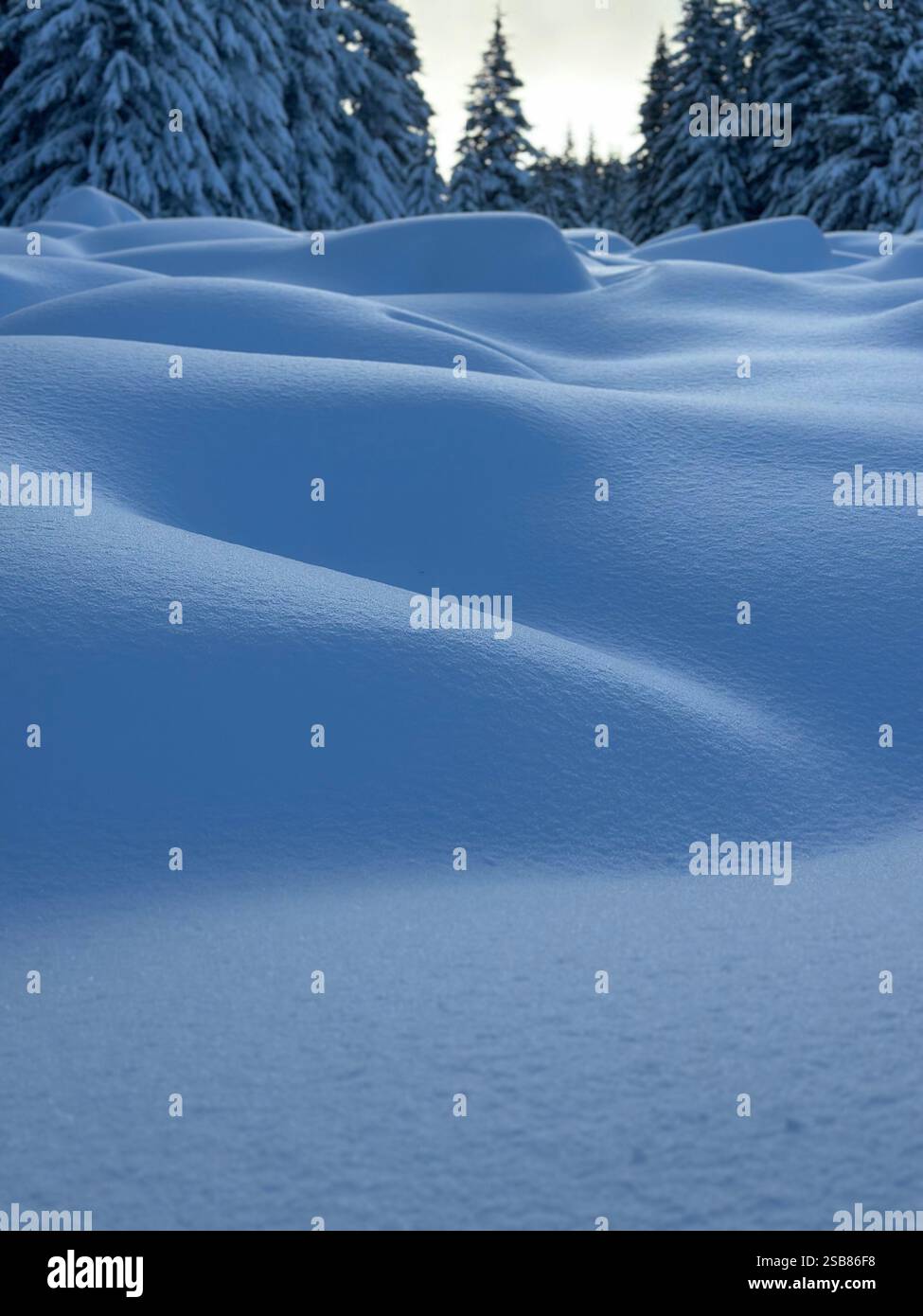 Schnee weich - Smartphone-aufgenommenes Stockfoto