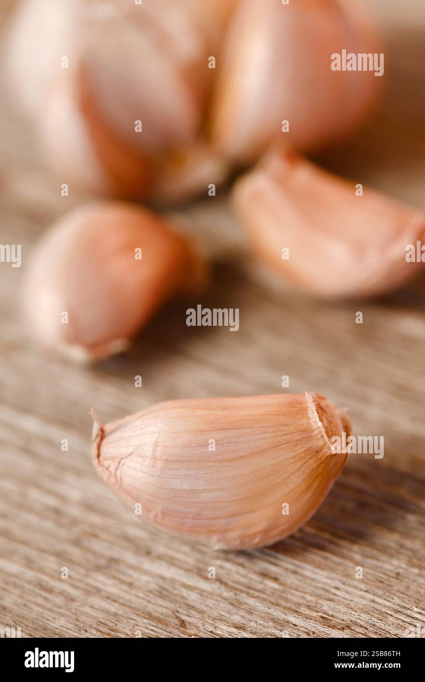 Großaufnahme der frischen rohen Knoblauchzehen (lat. Allium sativum) auf Holzoberfläche mit Knoblauchzwiebeln im Rücken (sehr geringe Tiefe des Feldes) Stockfoto