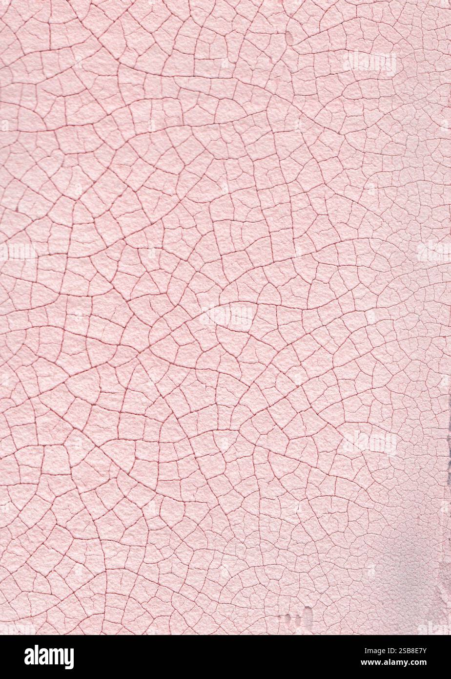 Abgetragener, pinkfarbener Gips und Craquelure-Textur. Dickes, unpastöses Knistern für Hintergründe und alle Designs. Nicht nahtlos. Handgefertigte Textur. Stockfoto