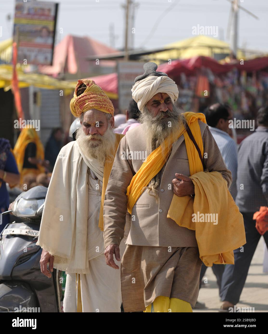 Porträt älterer Männer im Maha Kumbh Mela, einem lebendigen kulturellen Treffen, in traditioneller Kleidung Stockfoto