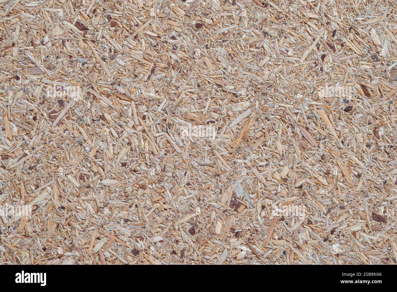 Spanplattenstruktur. Gepresste Holzspäne. Beigefarbener Holzhintergrund Stockfoto