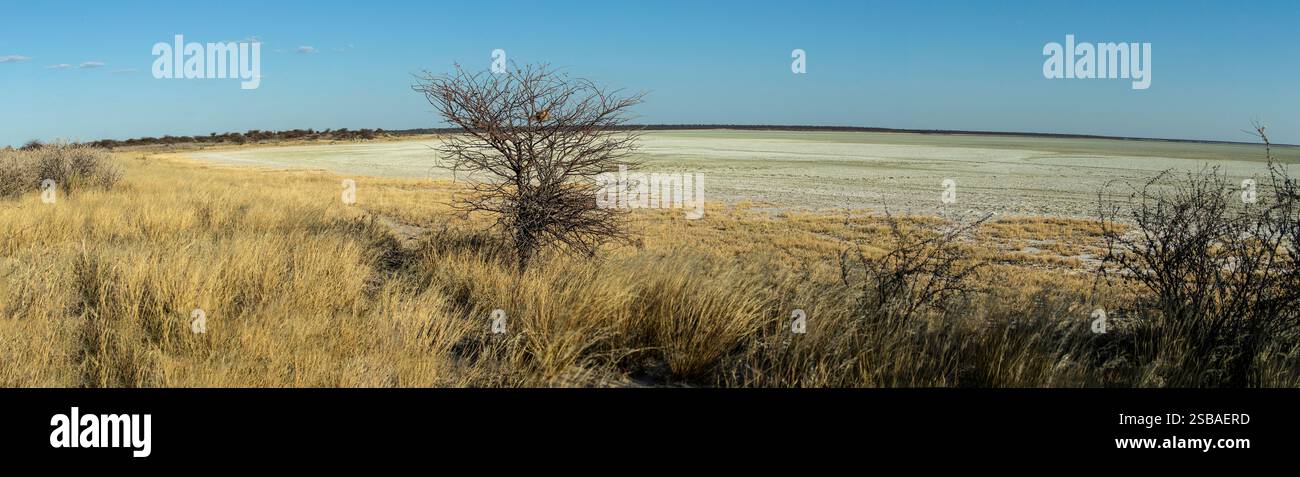 Eine Panoramaaufnahme der weißen Etosha-Pfanne mit blauem Himmel, die die Krümmung der Erde zeigt. Stockfoto