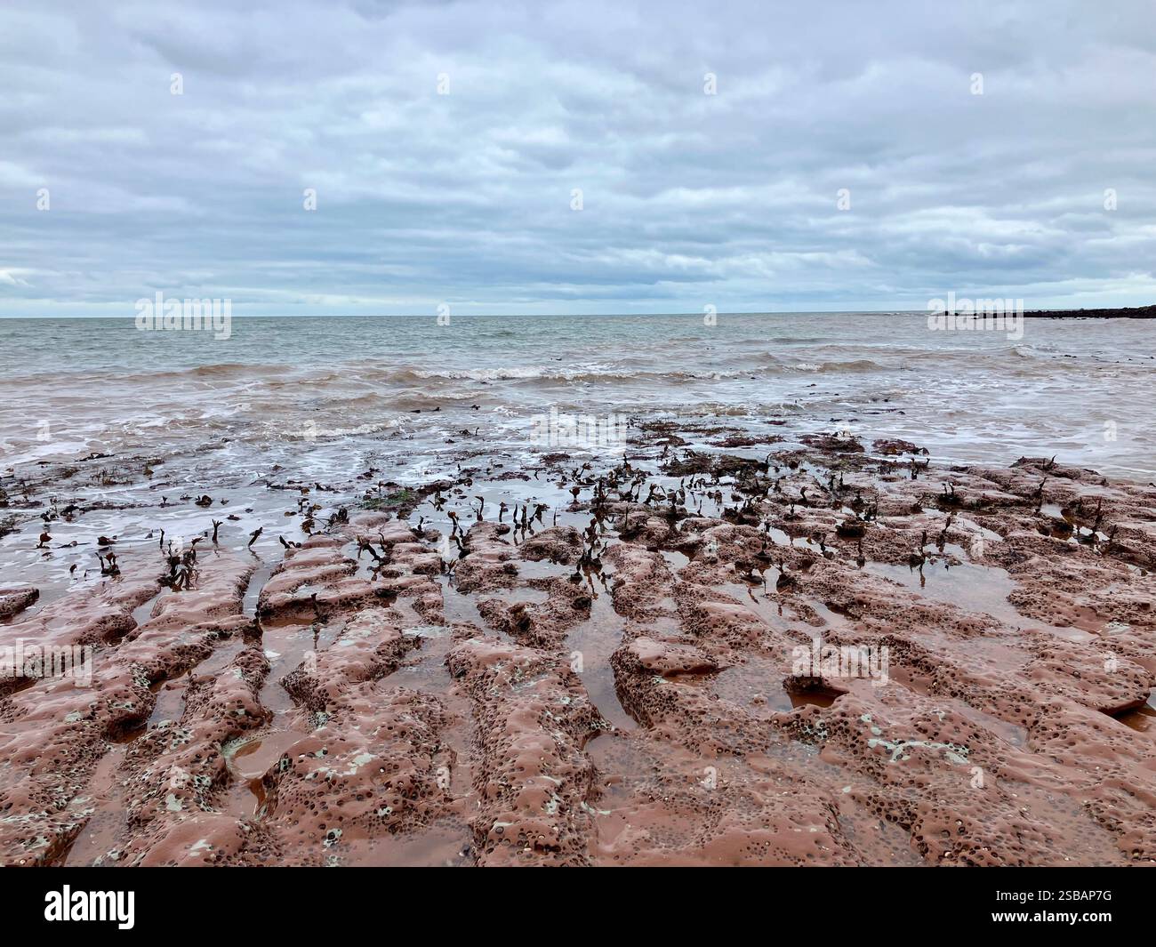 Felsenbecken, sanfte Wellen, Algen, Himmel und Wolken: Seaton, Devon - Smartphone-aufgenommenes Stockfoto