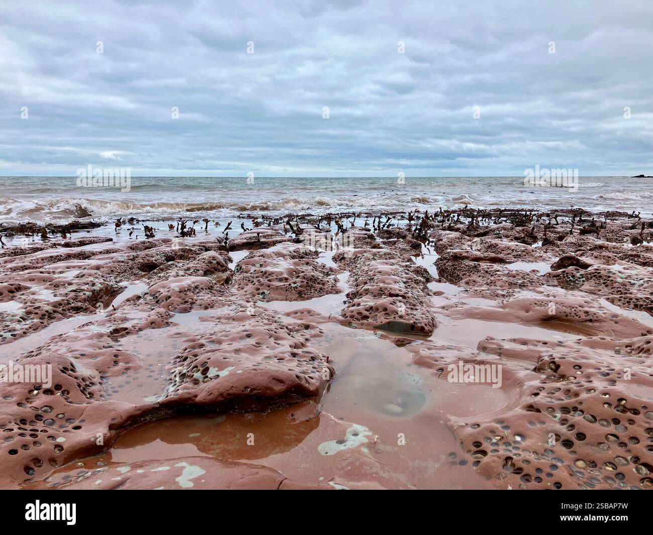 Felsenpools, Algen, Meer und Himmel an einem ruhigen Tag in Seaton, Devon - Smartphone-aufgenommenes Stockfoto