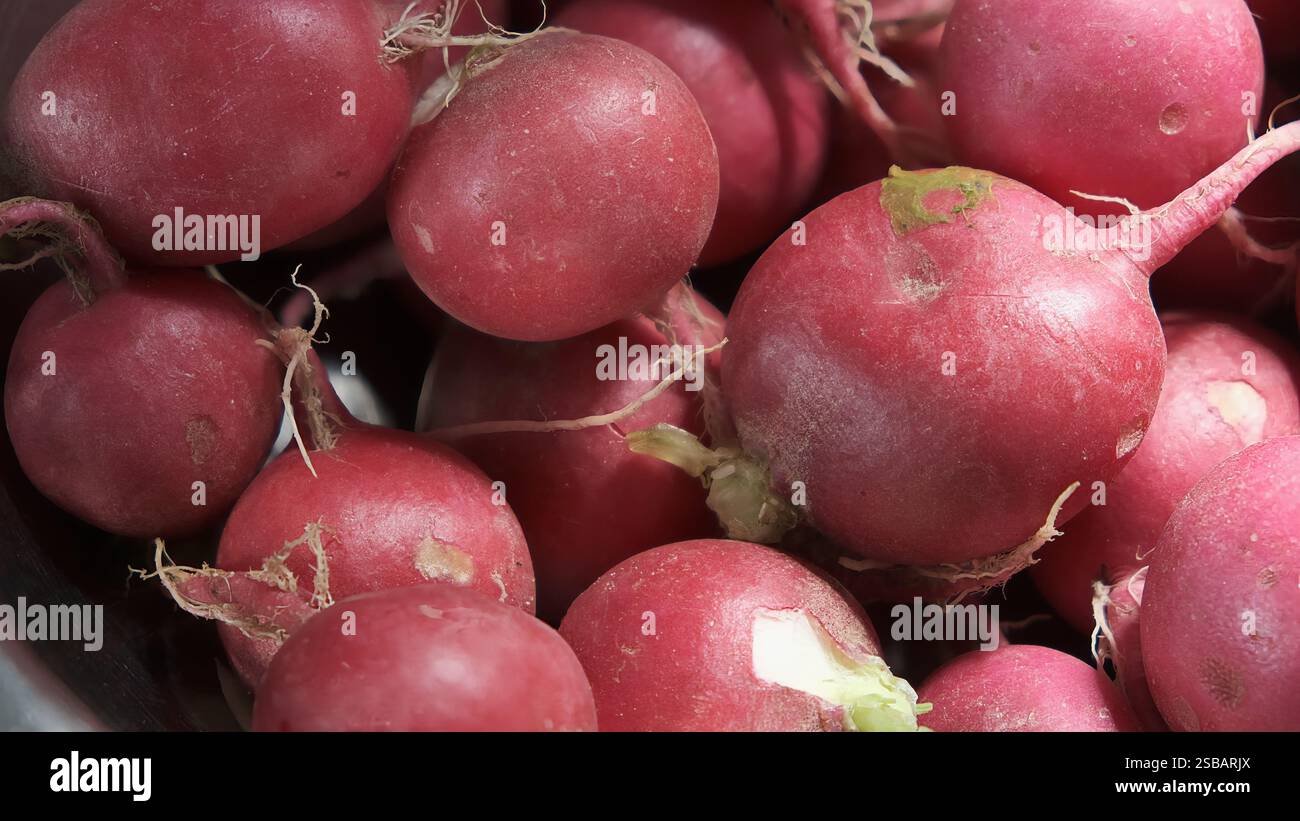 Nahaufnahme frischer roter Radieschen mit intakten Wurzeln, die ihre lebendige Farbe und natürliche Textur zeigen Stockfoto