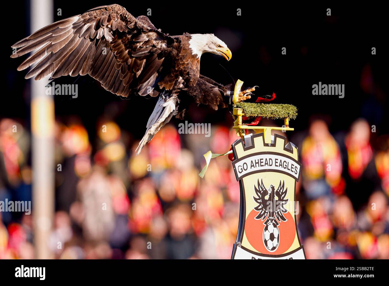 Deventer, Niederlande. Februar 2025. DEVENTER, NIEDERLANDE - 2. FEBRUAR: Maskottchen Harly von Go Ahead Eagles vor dem niederländischen Eredivisie-Spiel zwischen Go Ahead Eagles und FC Twente in de Adelaarshorst am 2. Februar 2025 in Deventer, Niederlande. (Foto: Broer van den Boom/Orange Pictures) Credit: Orange Pics BV/Alamy Live News Stockfoto