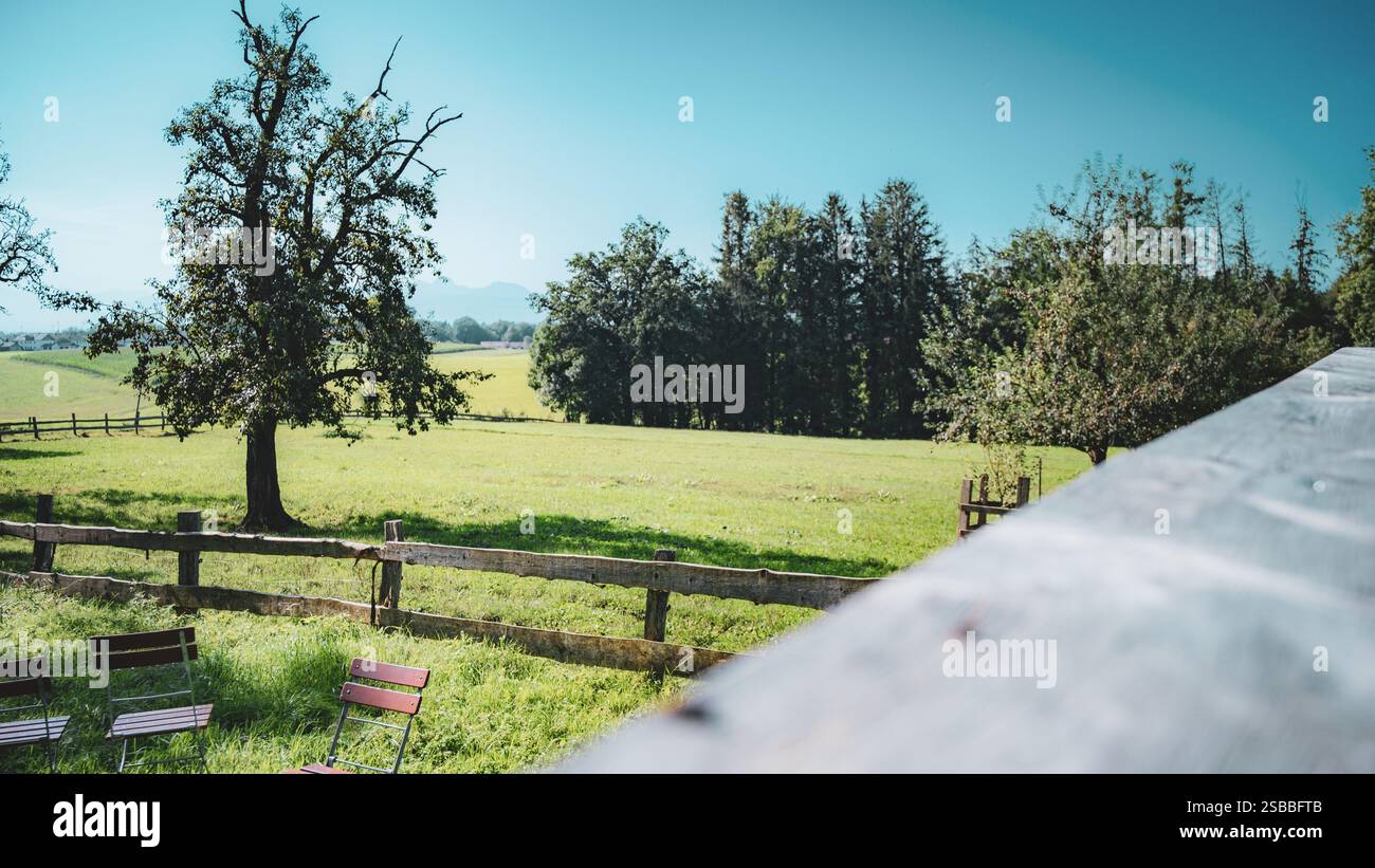 Landschaft mit Bäumen, grüner Wiese, Wald und blauem Himmel Stockfoto