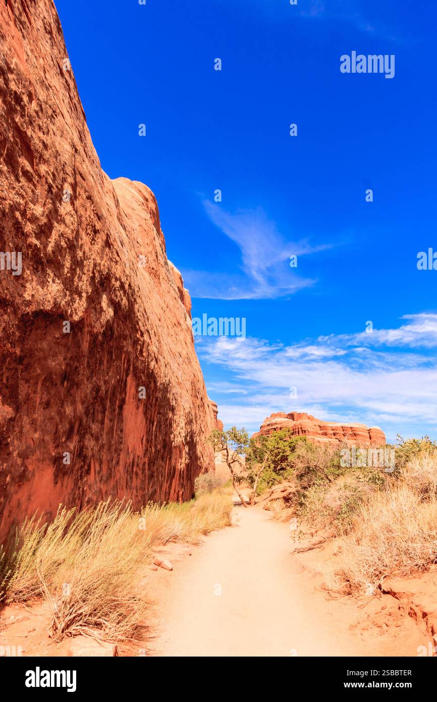 Ein Pfad schlängelt sich durch einen felsigen Canyon mit einem klaren blauen Himmel darüber. Der Weg ist von hohem Gras und felsigem Gelände umgeben Stockfoto