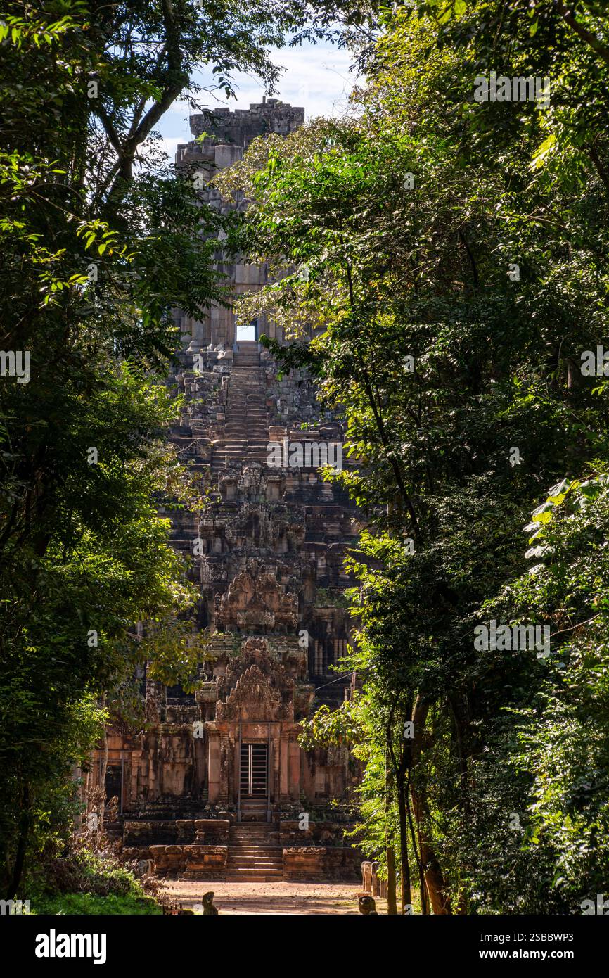 SIEM Reap, Kambodscha - 26. November 2023: Versteckter Ta Keo Tempel im Wald Stockfoto
