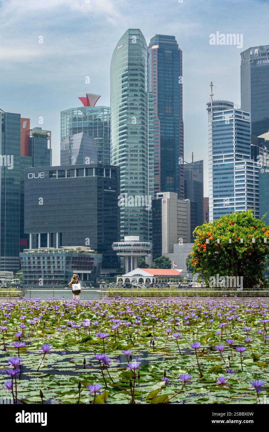 Singapur, Singapur - 16. November 2023: Blick auf das Finanzviertel in Singapur Stockfoto