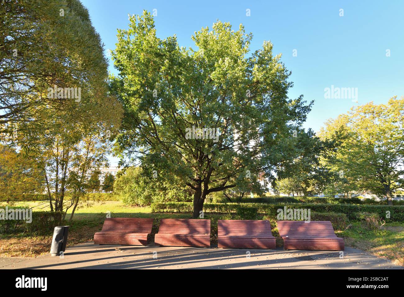 Stadtpark im frühen Herbst in Moskau in Russland Stockfoto