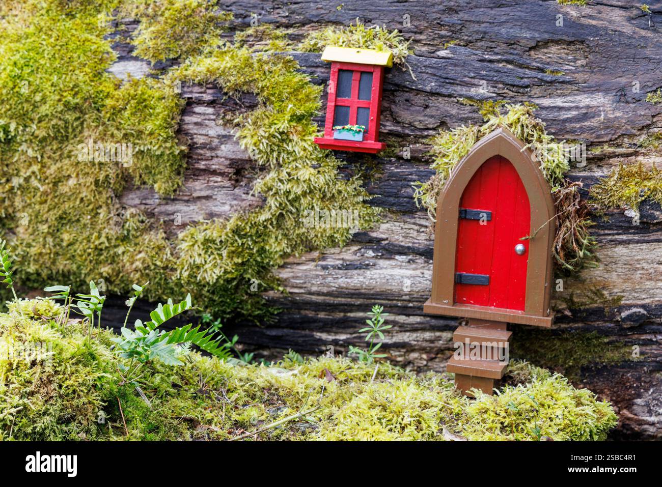 Hobbit Doors in Trees, Dinefwr, Wales, Großbritannien Stockfoto