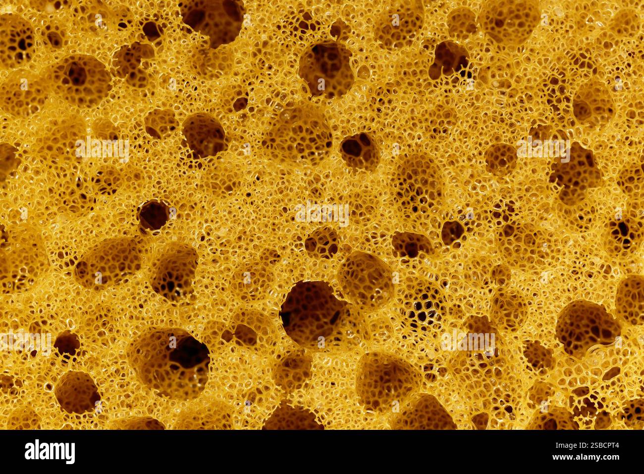 Textur des gelben Hartschwamms zum Geschirrspülen. Makrofotografie Stockfoto