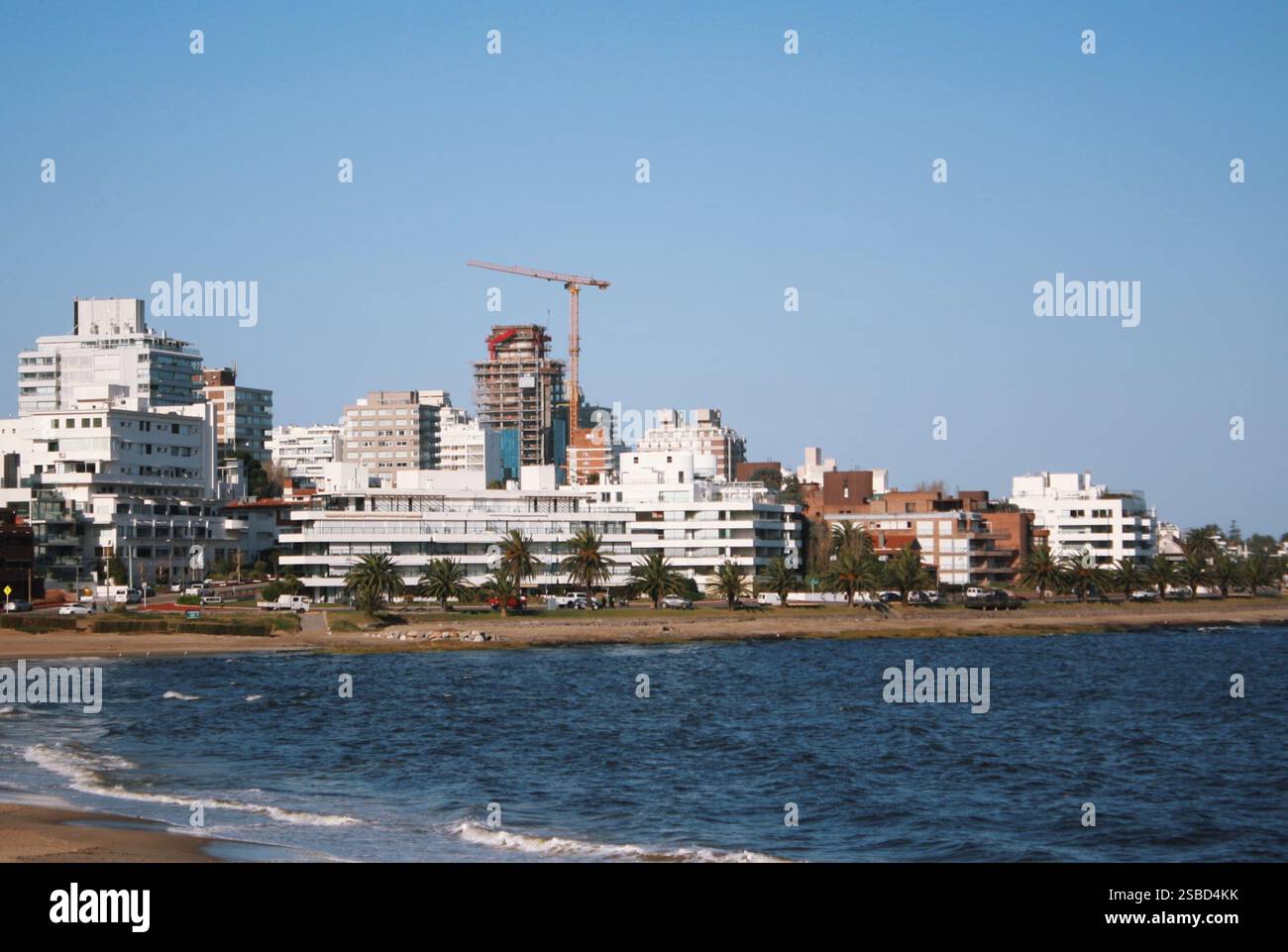 Natur und Stadt in punta de l'este Stockfoto